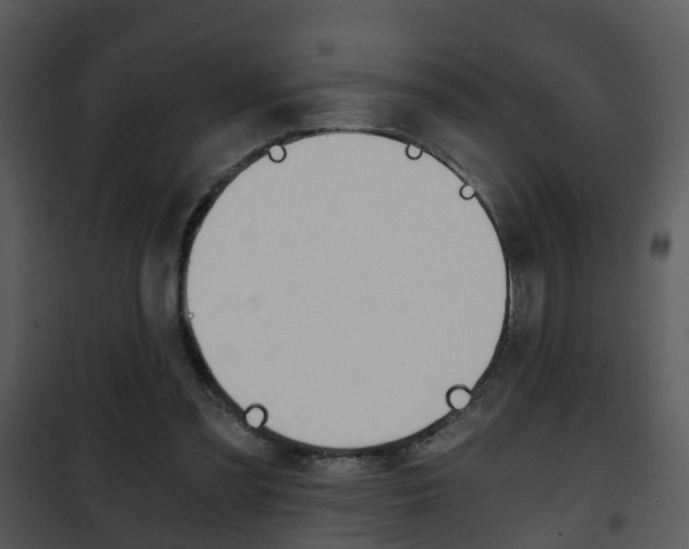 X0000101960301200807180709