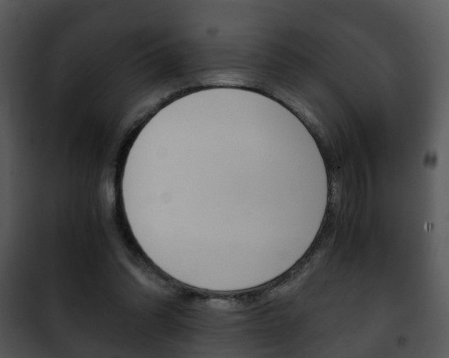 X0000101960302200807180709