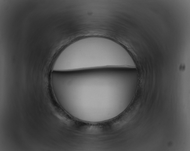X0000101960303200807180709