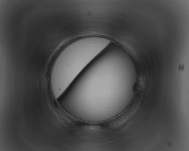 X0000101960304200807180709
