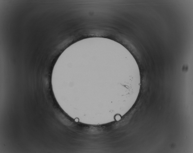X0000101960305200807180709