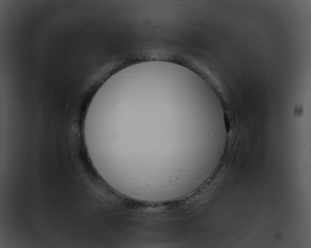 X0000101960306200807180709