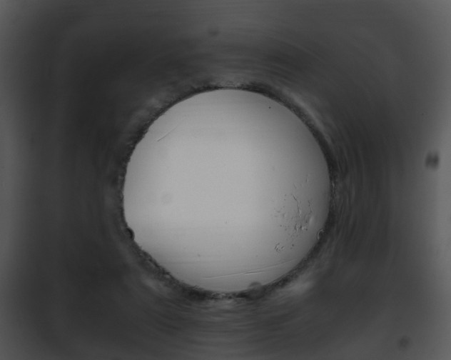 X0000101960307200807180709