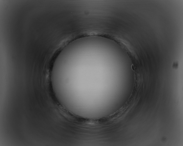 X0000101960308200807180709