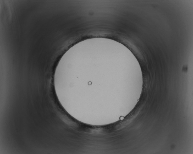 X0000101960309200807180709