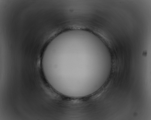 X0000101960310200807180709
