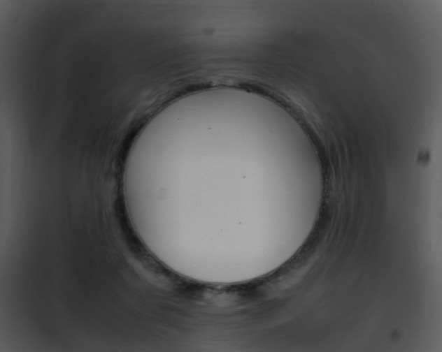 X0000101960311200807180709
