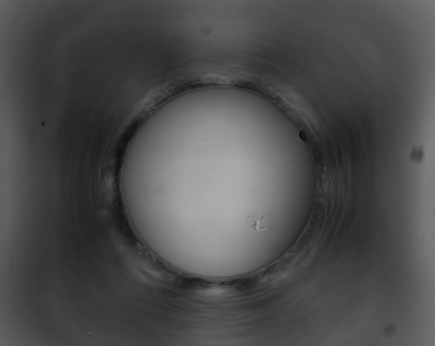 X0000101960312200807180709