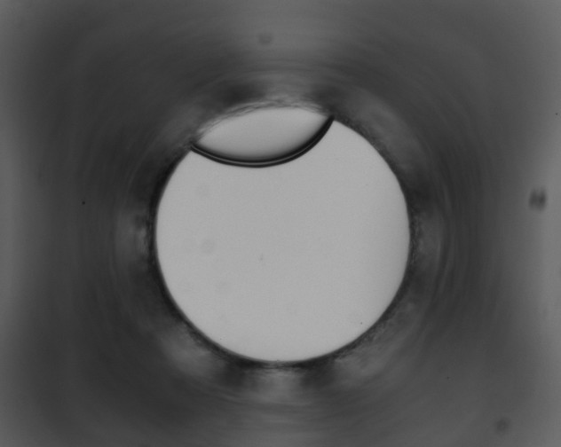 X0000101960313200807180709