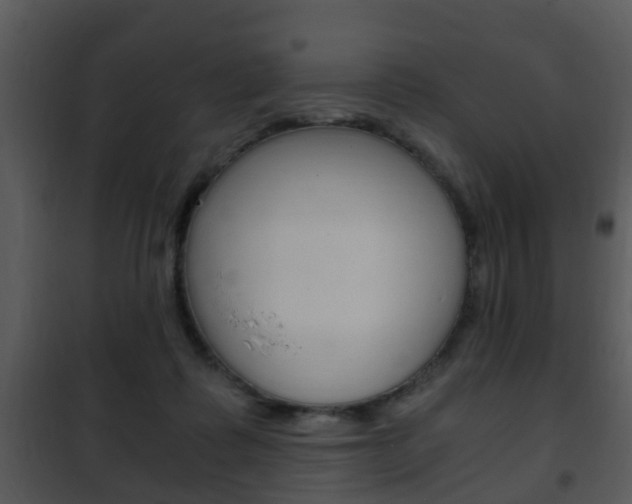 X0000101960315200807180709