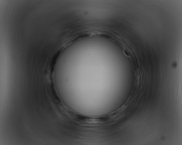 X0000101960316200807180709