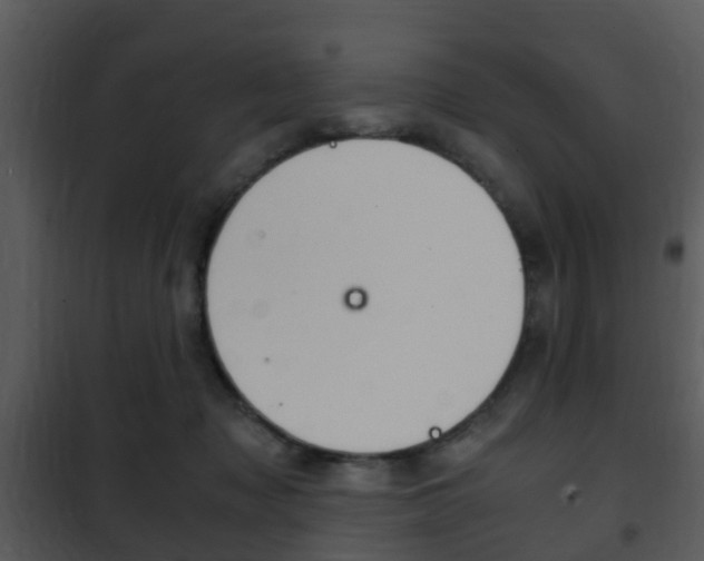 X0000101960317200807180709