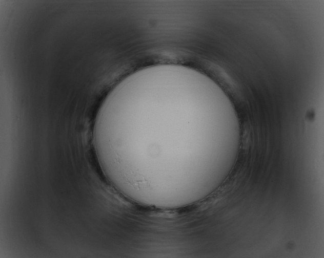 X0000101960318200807180709