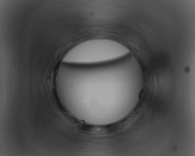 X0000101960319200807180709