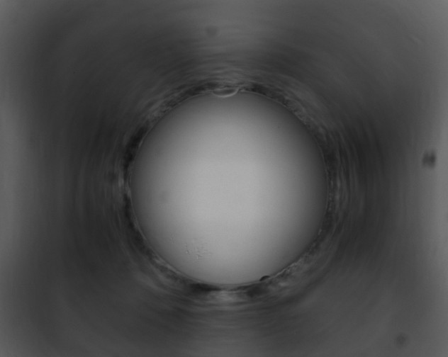 X0000101960320200807180708