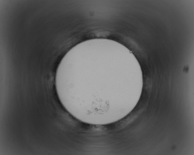 X0000101960321200807180708