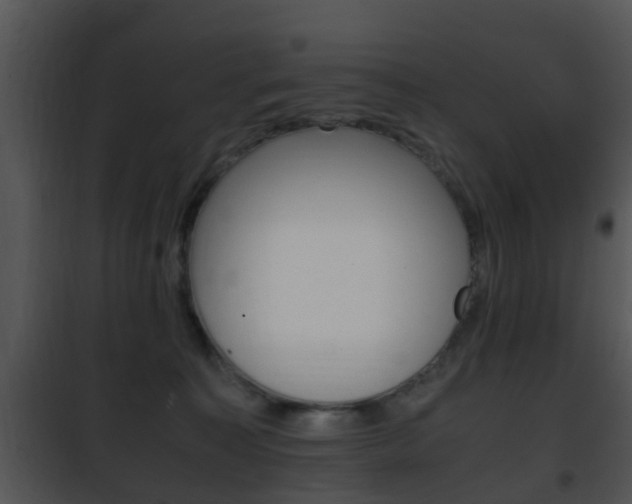 X0000101960323200807180708