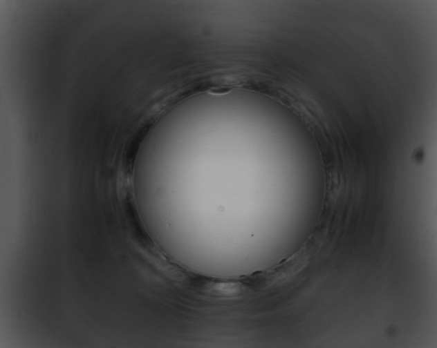 X0000101960324200807180708