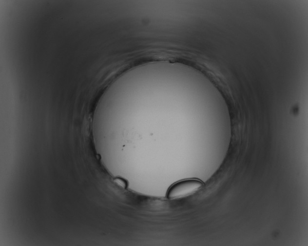 X0000101960325200807180708