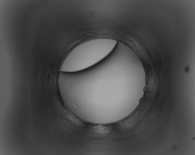 X0000101960326200807180708