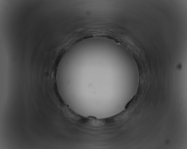 X0000101960327200807180708