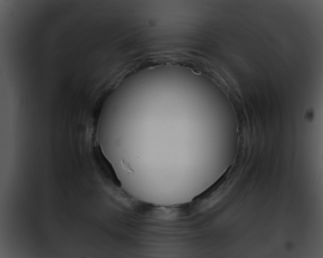 X0000101960328200807180708