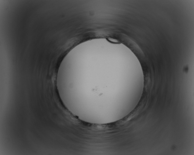 X0000101960329200807180708