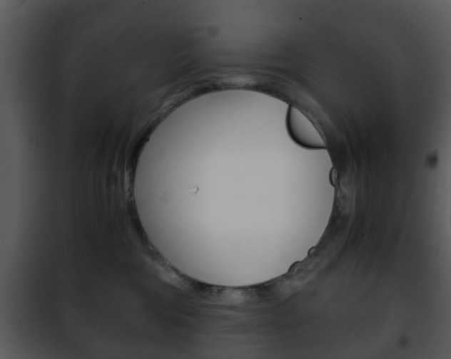 X0000101960330200807180708