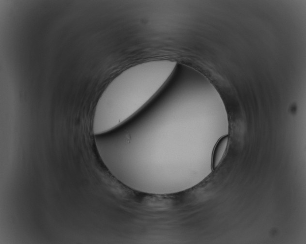 X0000101960331200807180708