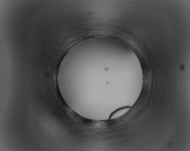 X0000101960333200807180708