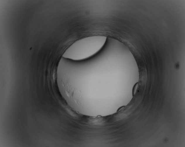 X0000101960334200807180708