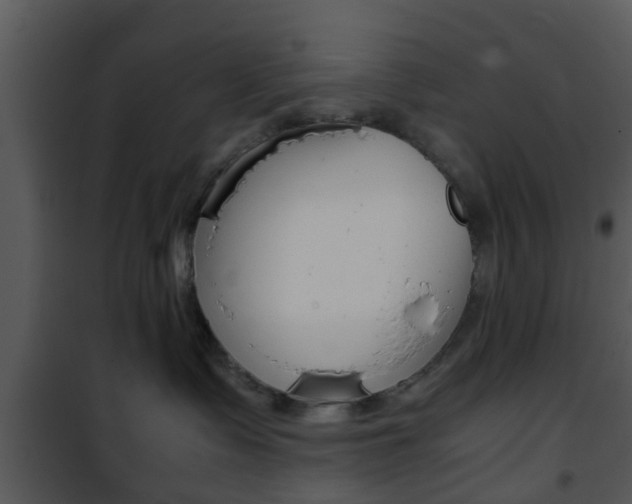 X0000101960335200807180708