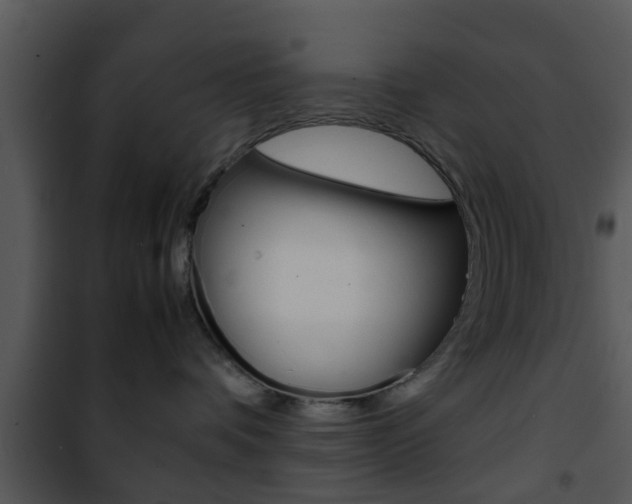 X0000101960336200807180708