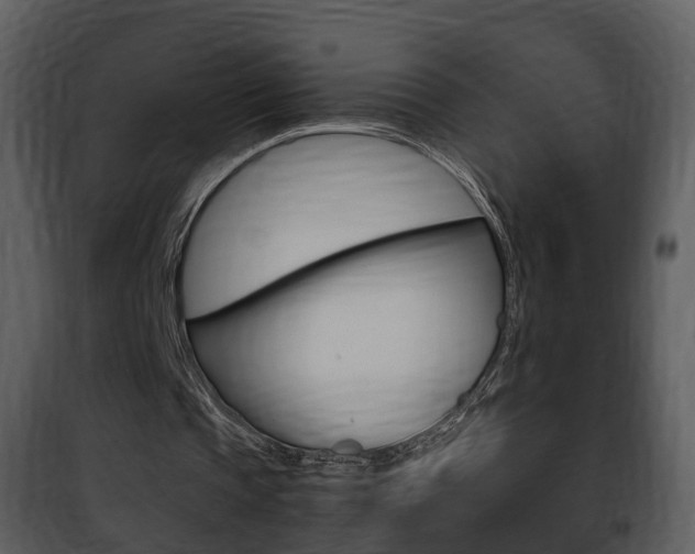 X0000101960337200807180708