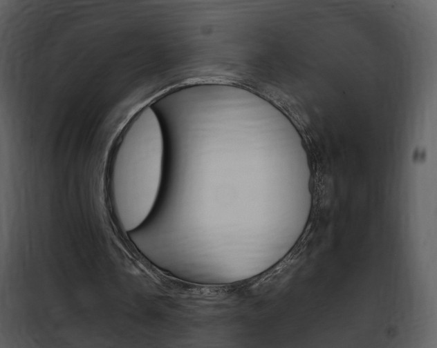 X0000101960338200807180708