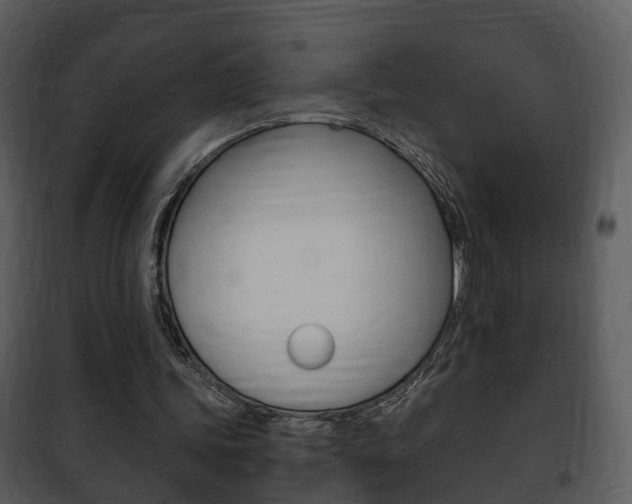 X0000101960339200807180708