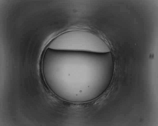X0000101960340200807180708