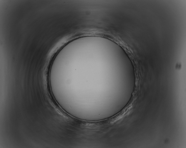 X0000101960341200807180708