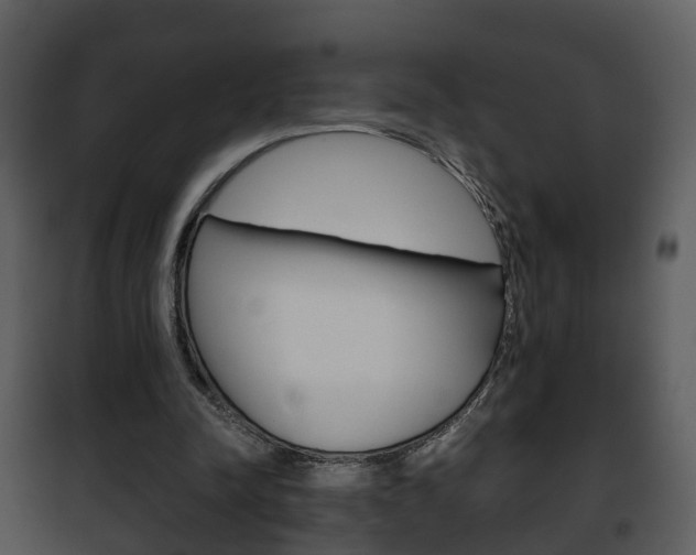 X0000101960342200807180708