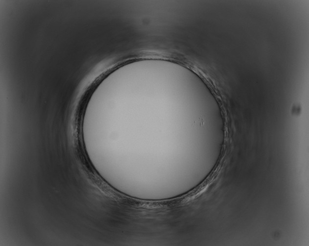 X0000101960343200807180708