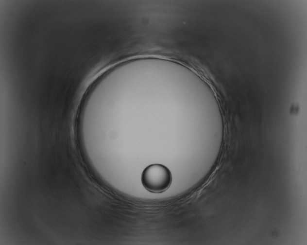 X0000101960344200807180708