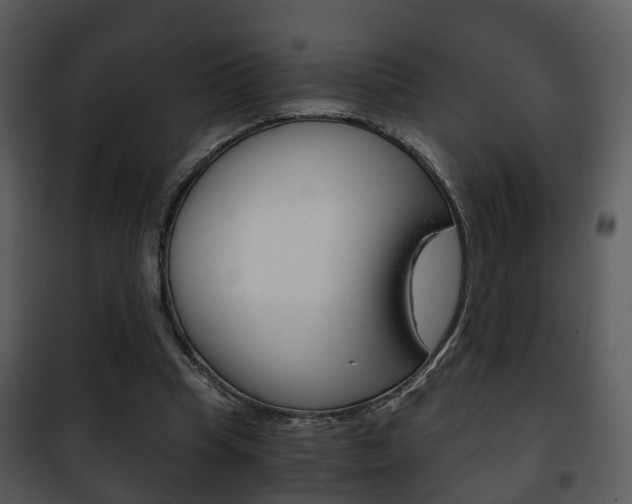 X0000101960345200807180708