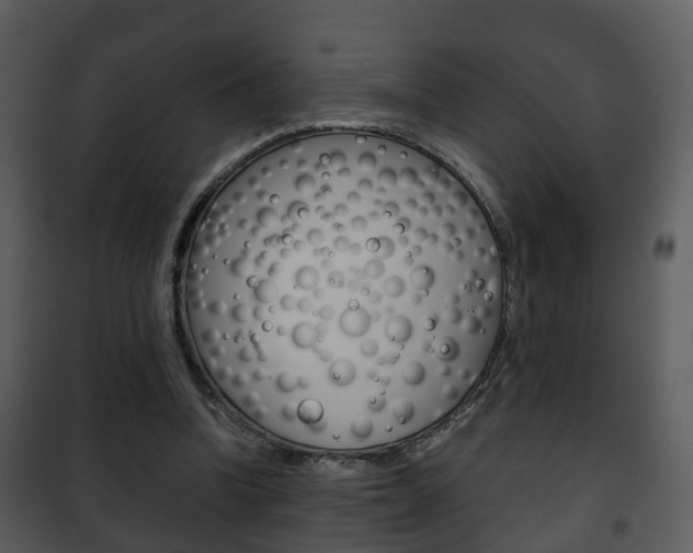 X0000101960346200807180708