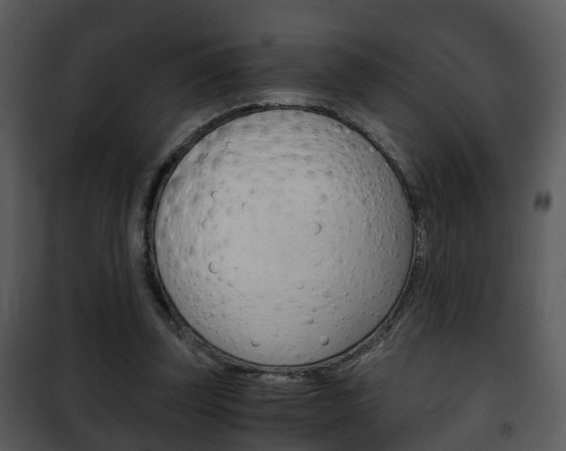 X0000101960347200807180708
