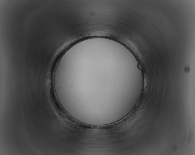 X0000101960348200807180708