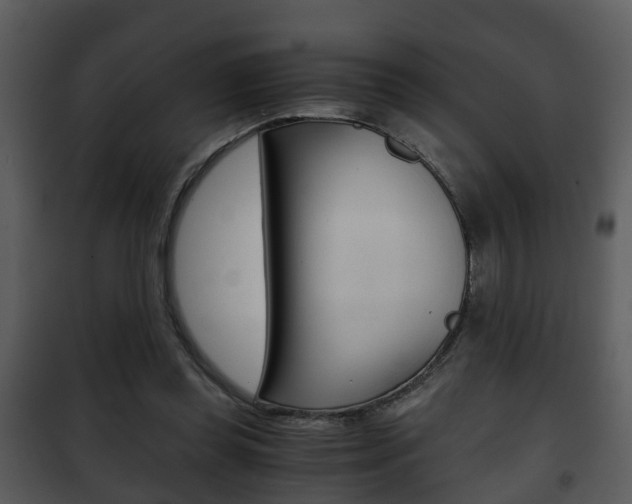X0000101960349200807180708