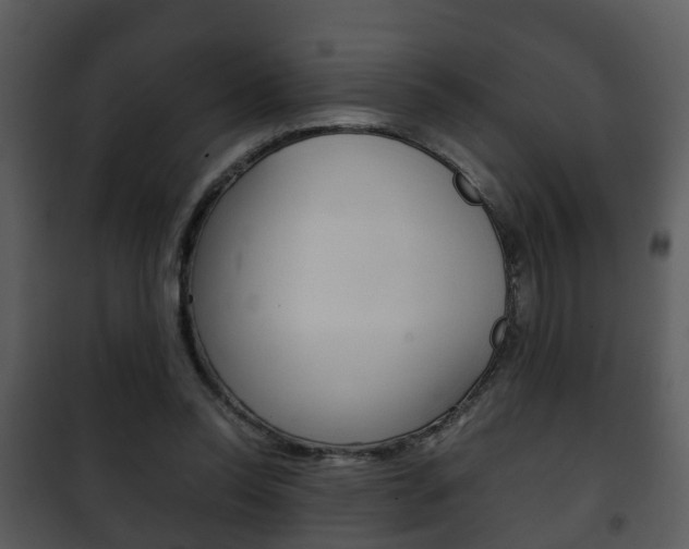 X0000101960350200807180708