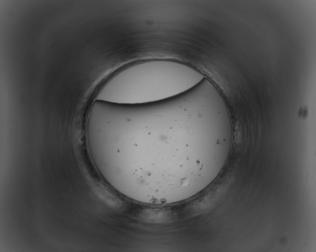 X0000101960351200807180708