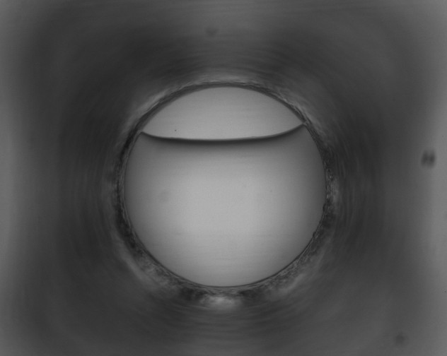 X0000101960352200807180708