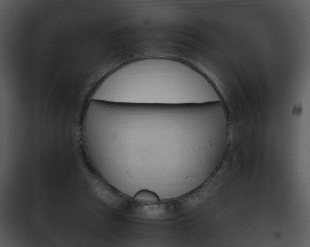 X0000101960353200807180708
